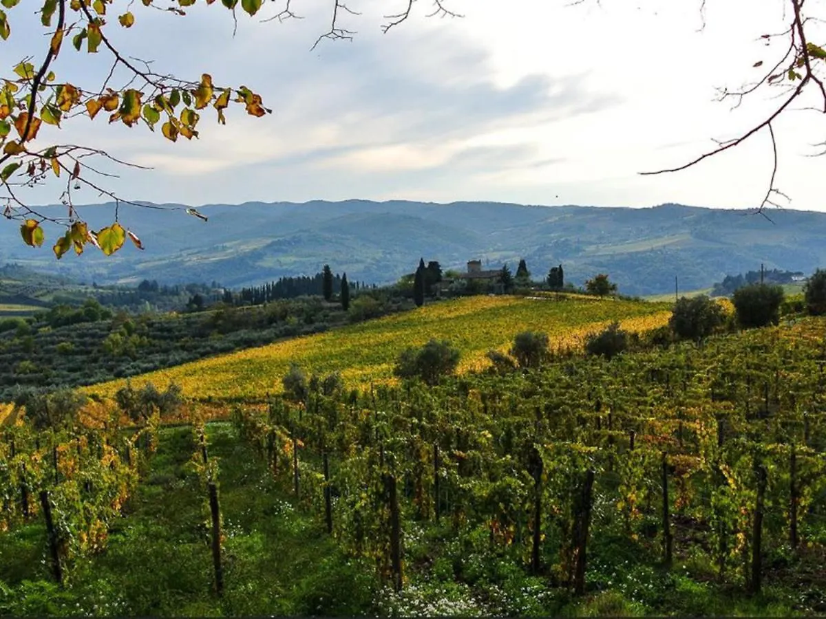 Holiday Home Lucolena By Interhome Lucolena in Chianti Italy